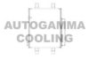 AUTOGAMMA 107178 Condenser, air conditioning